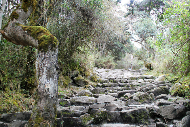Treacherous hike, Inca Trail.
