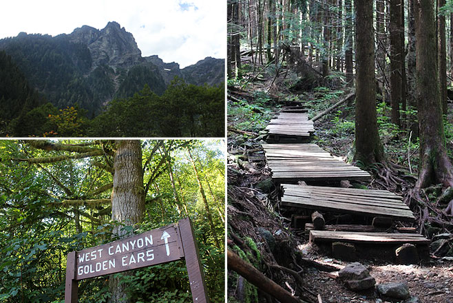 Golden Ears Park, July 2013.