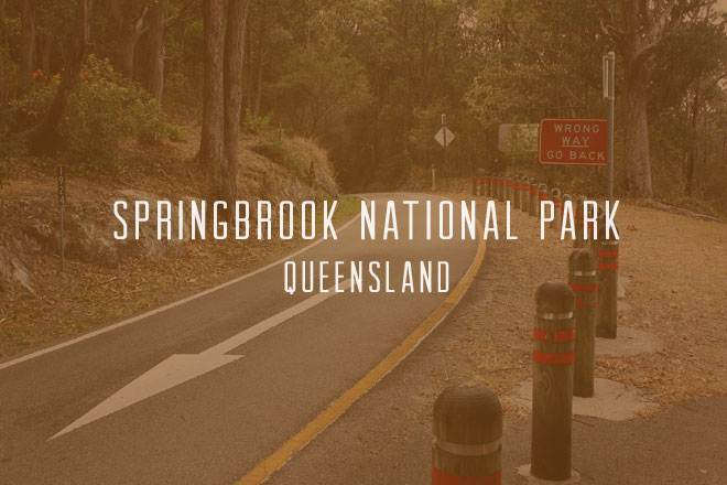 Springbrook National Park