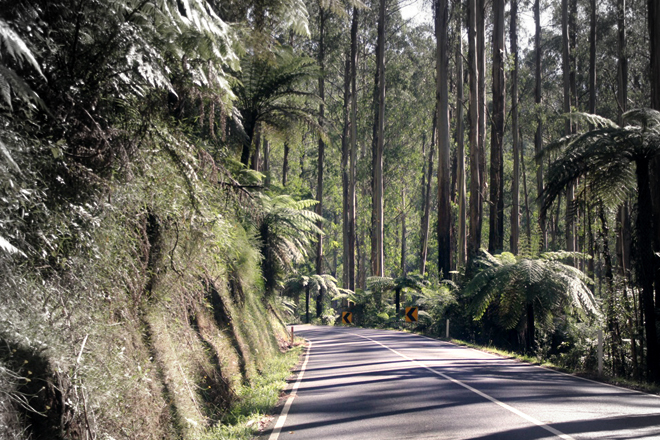 Road to Cathedral Ranges