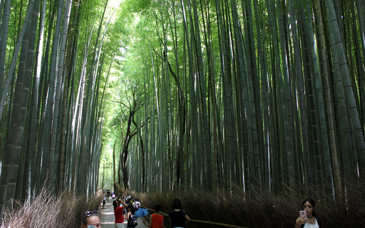 arashiyama02