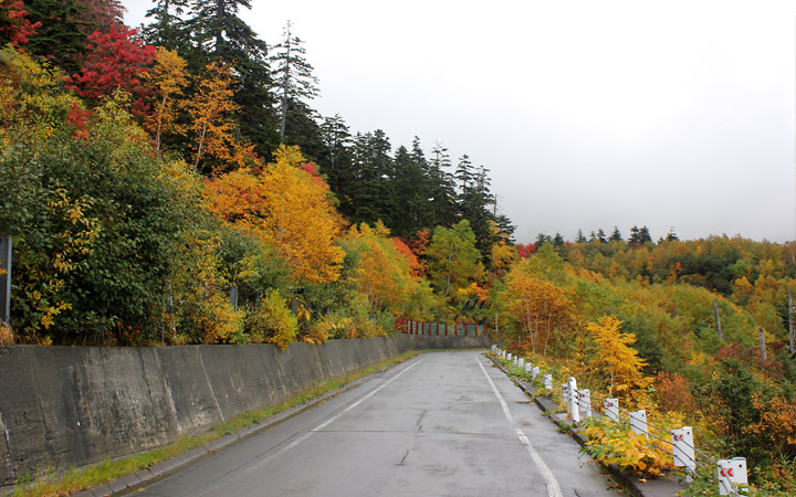 Biei road in the autumn